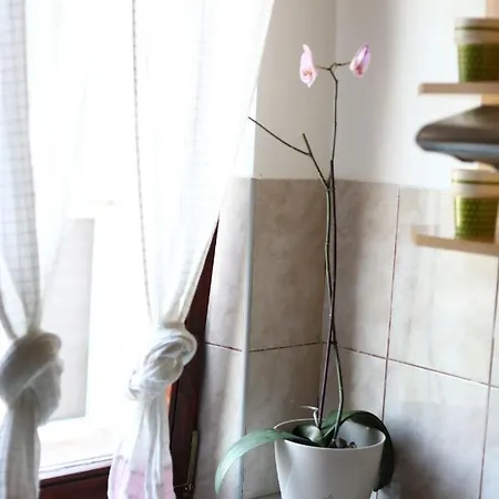 Apartman Daire Lukavica